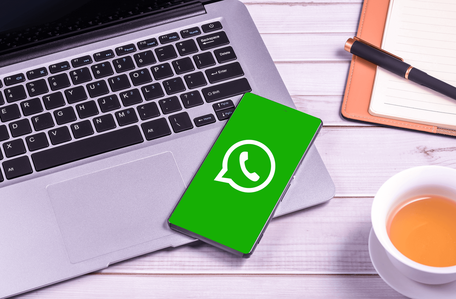 WhatsApp自動回覆】WhatsApp個人版也能設置自動回覆？ - dumbchat